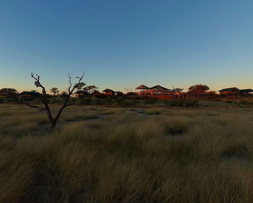 Suricate Tented Lodge Mariental Eksteriør bilde