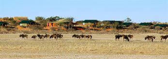 Suricate Tented Lodge Mariental Eksteriør bilde